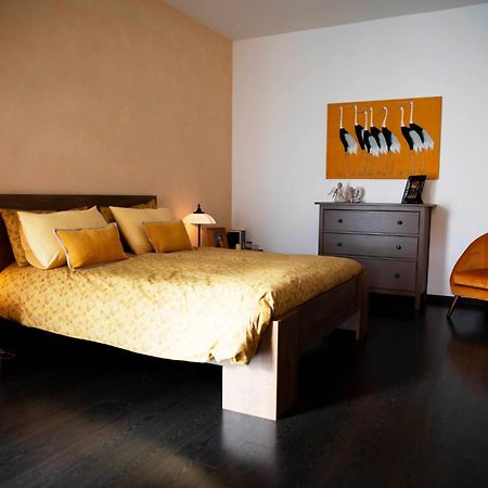 Sound Of Colors - Art Design Apartment Desenzano del Garda Eksteriør bilde